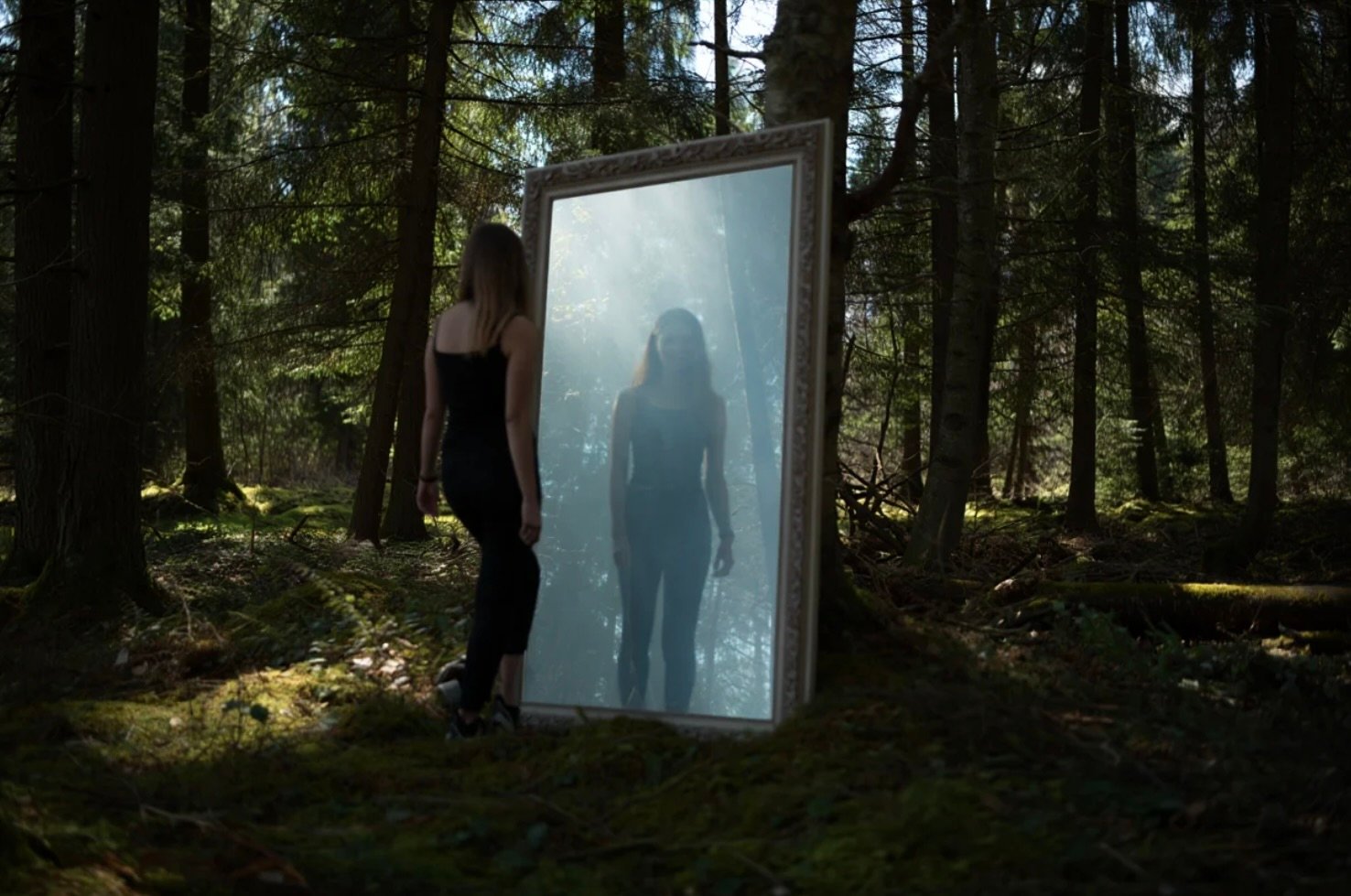 Slimwisefit screenshot